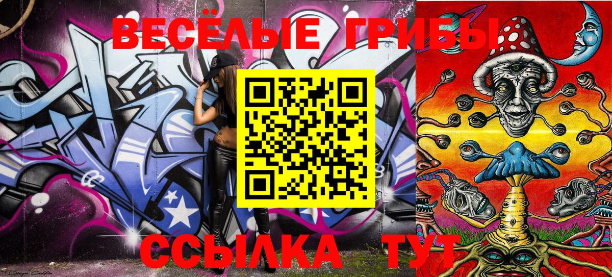 Псилоцибиновые грибы GOLDEN TEACHER Россия