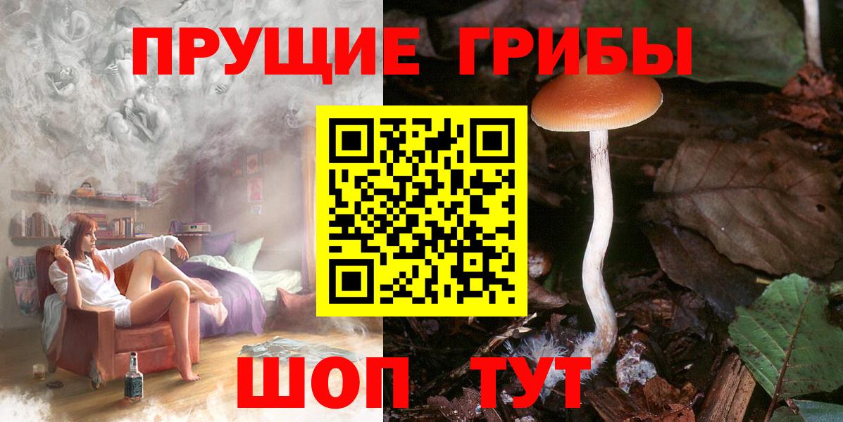 Россия  Галлюциногенные грибы GOLDEN TEACHER  Вход с VPN 